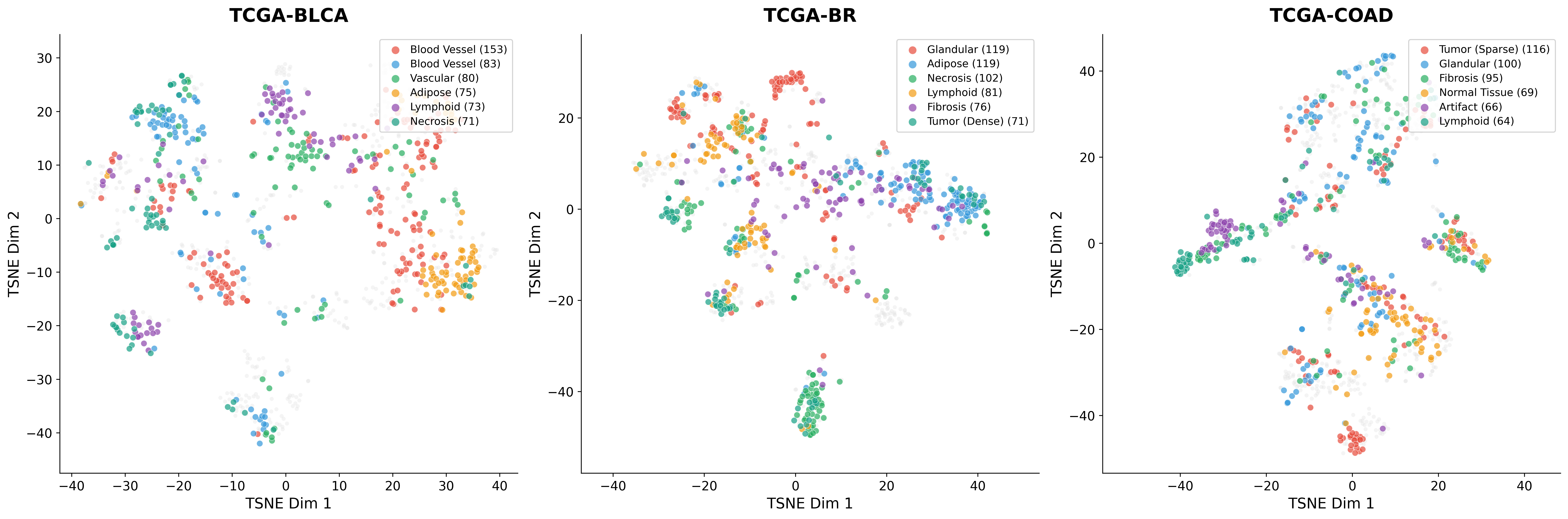 Expert clustering t-SNE visualization