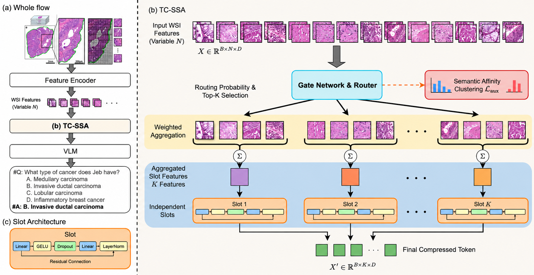 TC-SSA architecture and whole-flow diagram