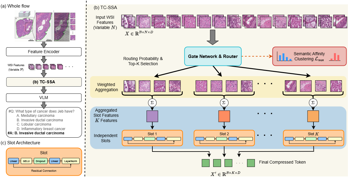 TC-SSA